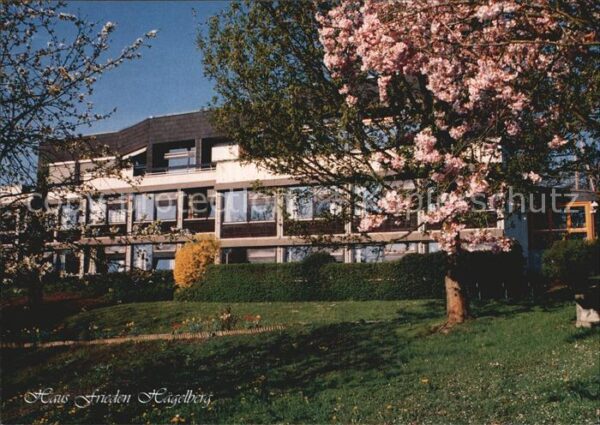 Steinen Wiesental Haus Frieden Hägelberg Baumblüte