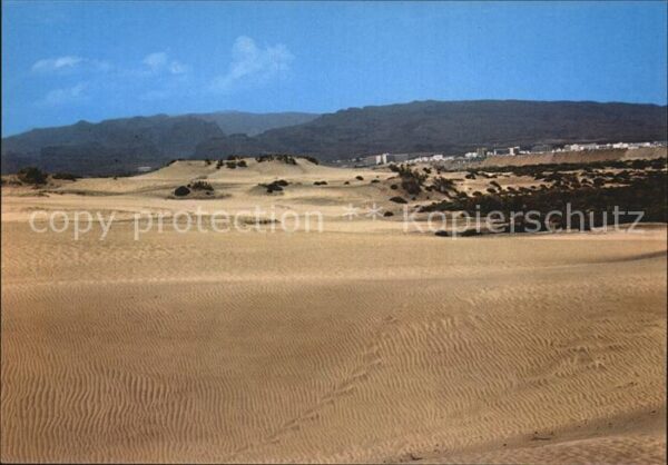 Maspalomas Dünen Landschaftspanorama