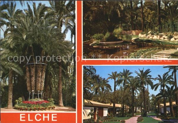 Elche Palmen Ferienanlage Teich