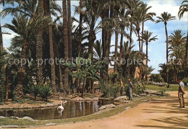 Elche Parque Municipal Estanque de los Cisnes