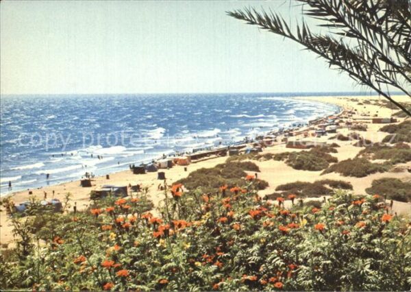 Playa del Ingles Panorama Strand Blumen