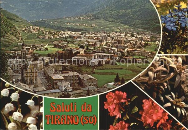 Tirano Panorama Santuario Madonna Kloster Kirc