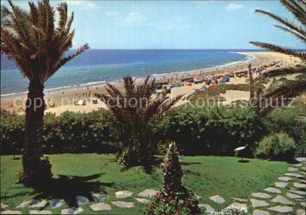 Playa del Ingles Panorama Strand Palmen