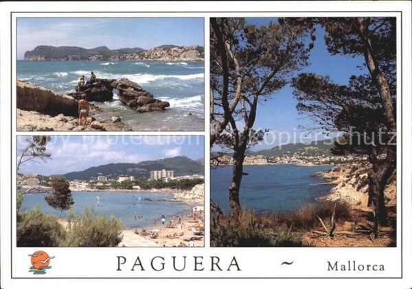 Paguera Mallorca Islas Baleares Küste Strand Pinien