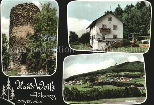 Auberg Rimbach Burgruine Lichtenegg Pension Haus Weiss