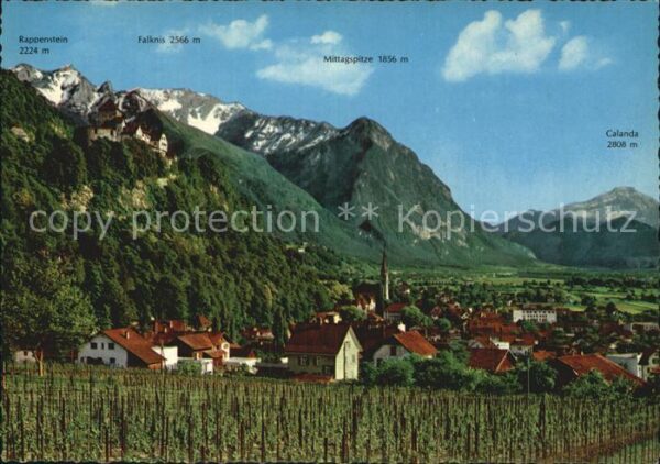 Vaduz Gesamtansicht mit Schloss Alpen
