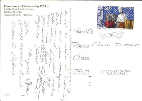 Gaflei Panorama ab Fürstensteig Rheintal Touro – Bild 2