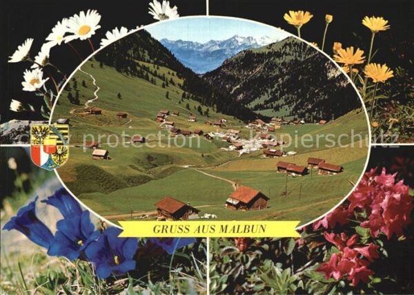 Malbun Panorama Alpenflora