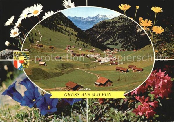 Malbun Panorama Alpenflora