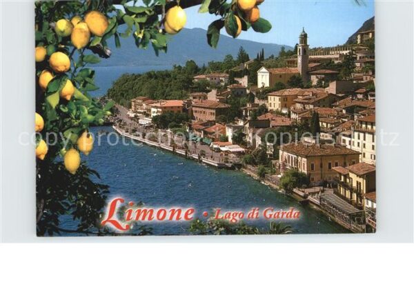 Limone sul Garda Zitronenbaum Uferstrasse Gardasee