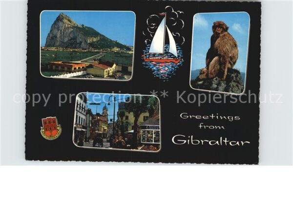 Gibraltar Felsen Affe Ortsmotiv