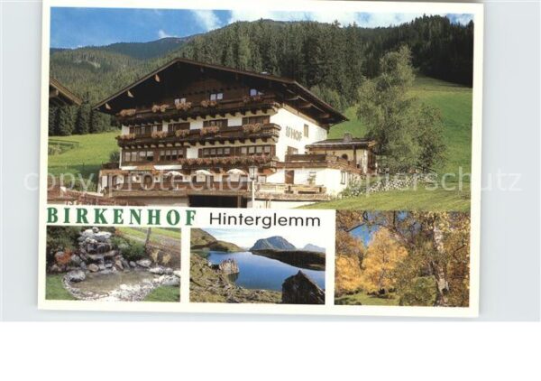 Hinterglemm Saalbach Birkenhof Waldpartie Bergsee Quelle