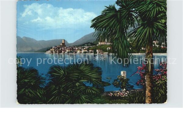 Malcesine Lago di Garda Uferpromenade am Gardasee Palmen