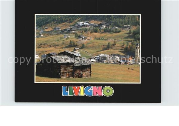 Livigno Ortsansicht im Sommer