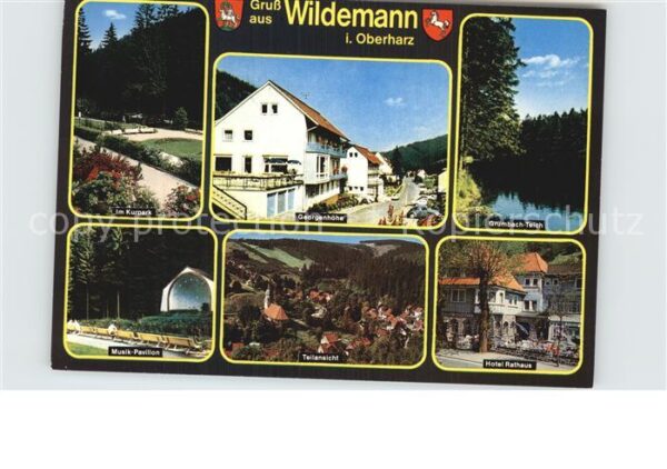Wildemann Kurpark Musikpavillon Georgenhöhe Hotel