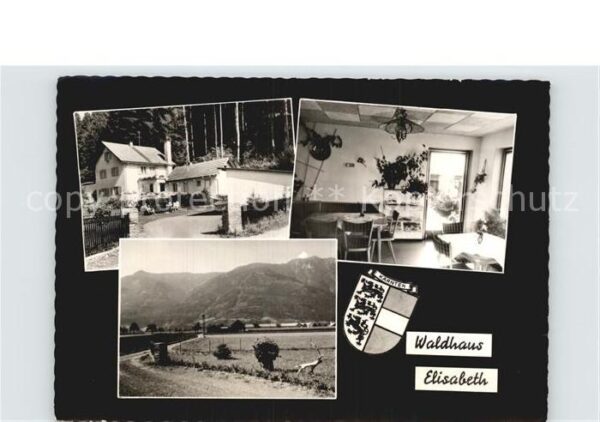 Spittal Drau Waldhaus Elisabeth Alpenblick