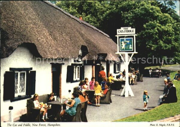 New Forest The Cat and Fiddle