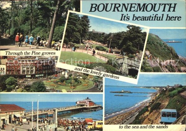 Bournemouth Garten Pinienwald