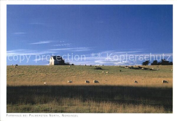 Palmerston North Farmhaus an der Nordseite