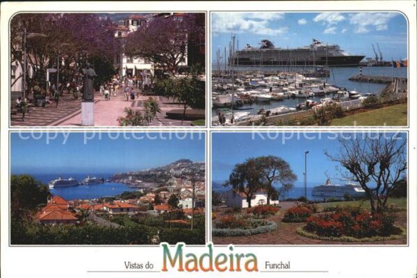 Funchal Panorama Hafen Park Denkmal