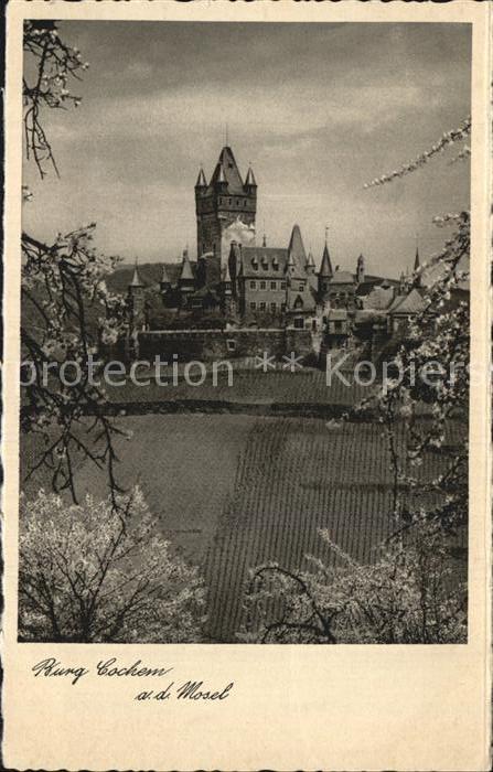 Cochem Mosel Blick zur Burg Baumblüte