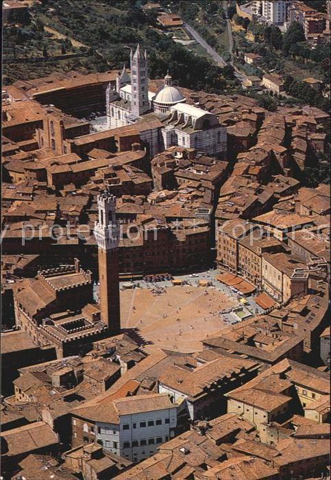 Siena Piazza del Campo Torre del Mangia Catte