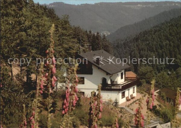 Lauterbach Schwarzwald Haus Sonnenschein Luftkurort