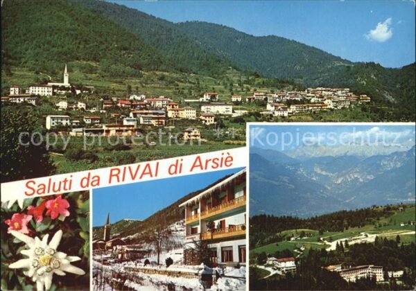 Rivai di Arsie Panorama Alpen Blumen