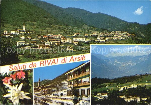 Rivai di Arsie Panorama Alpen Blumen
