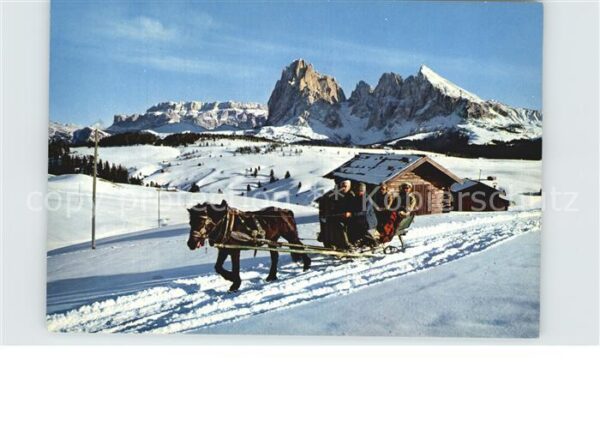 Alpe di Siusi Il Sassolungo Langkofel Schlittenfahrt