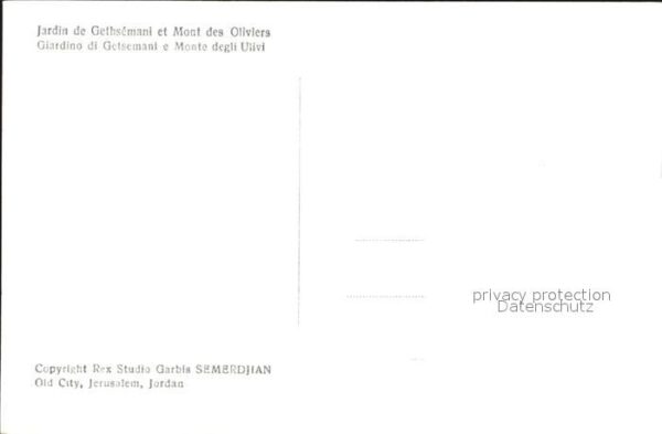 Gethsemani Gethsemane Jardin det Mont des Oliviers – Bild 2
