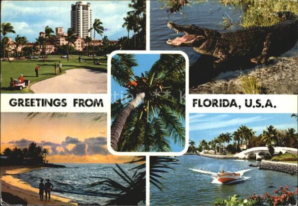Florida US-State Golfplatz Strand Krokodil