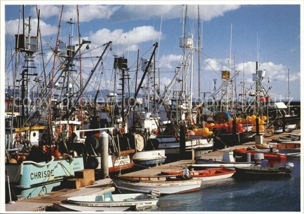 Santa Barbara California Harbour Fishing Fleet