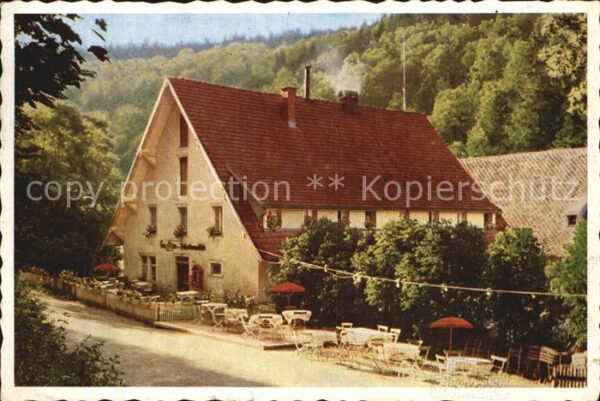 Neustadt Schwarzwald Schwarzwald-Gasthof und Pension Schatte
