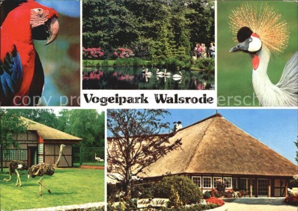 Voegel Vogelpark Walsrode Papagei Strauss