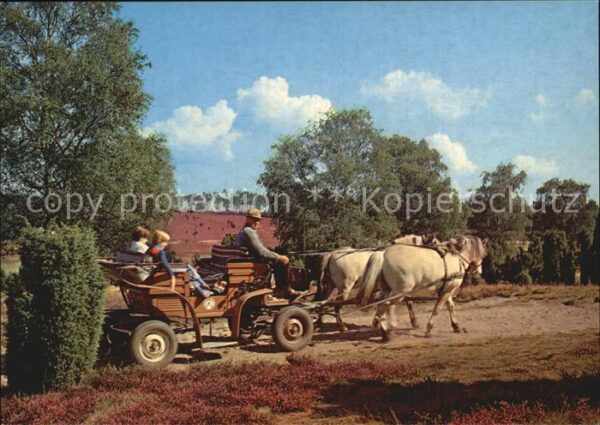 Pferdekutschen Kutschwagen Lüneburger Heide