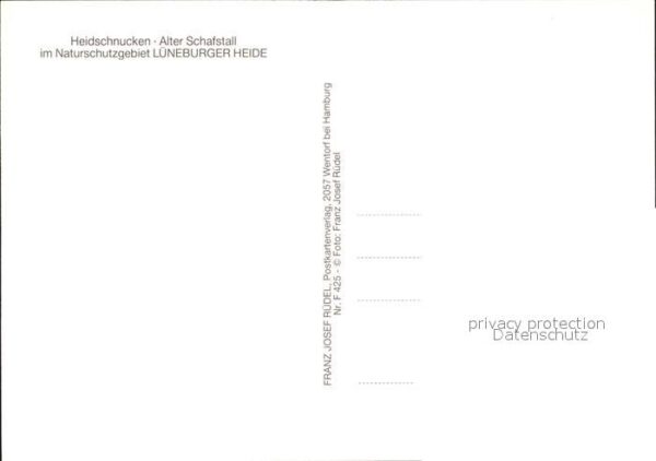 Schafe Heidschnucken Alter Schafstall Lüneburg – Bild 2