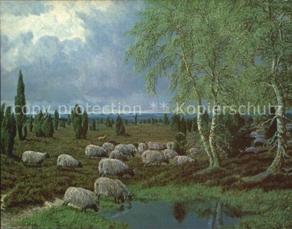Kuenstlerkarte Bernhard de Bruycker Heidschnucken Lüne