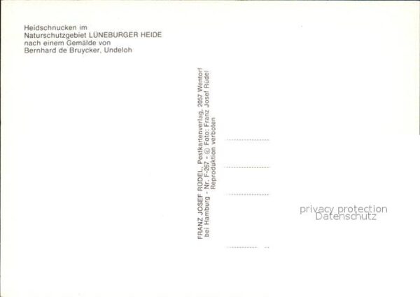 Kuenstlerkarte Bernhard de Bruycker Heidschnucken Lüne – Bild 2