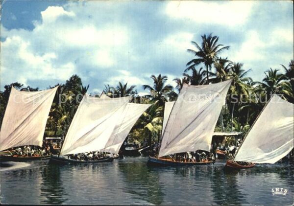 Segelboote Martinique Trois-Illets Course de Gommi