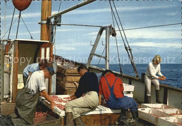 Fischerei Garnelen Västkusten Räkfiske