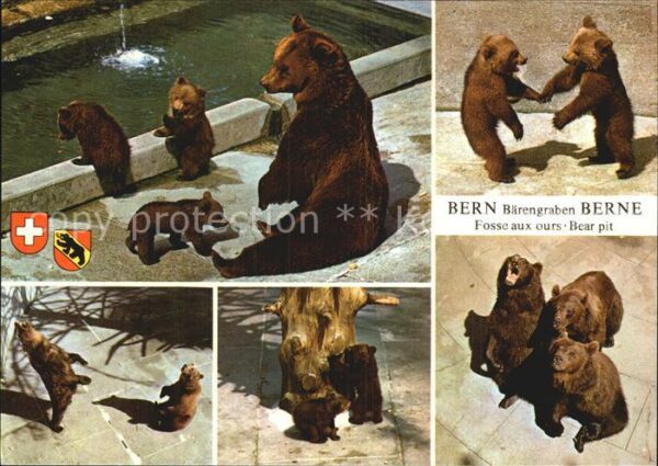 Baeren Bern Bärengraben