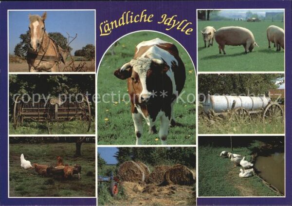 Kuehe Schweine Pferd Hühner Gänse