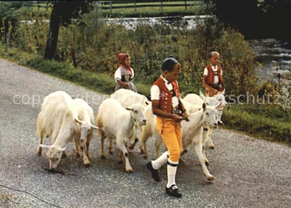 Ziege Alpabfahrt Sennenbub Tracht
