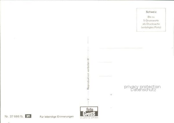 Ziege Sennenbub – Bild 2