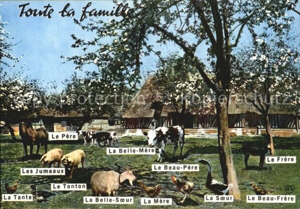 Tiere Bauernhof Ziege Kuh Schwein Pferd Hühne