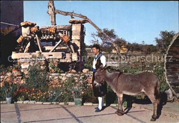 Esel Tiere Wasserrad Mallorca