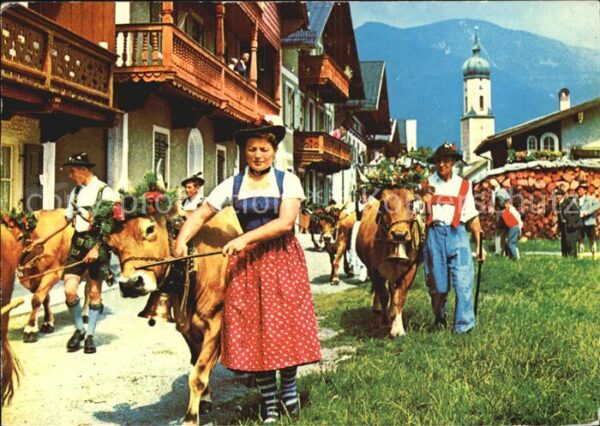 Kuehe Almabtrieb Festschmuck