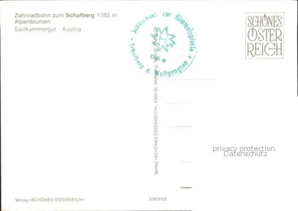Zahnradbahn Schafberg Alpenblumen Salzkammergut – Bild 2