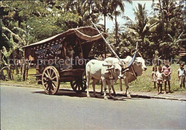 Kutschen Ochsenkarre Gerobag Central Java